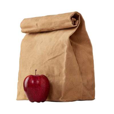 Reusable Brown Bags Sample Cooler Eco Friendly High Quality Waxed Canvas Lunch  Bag